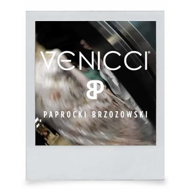 Venicci® x Paprocki&Brzozowski, Tinum Upline² zestaw 2w1